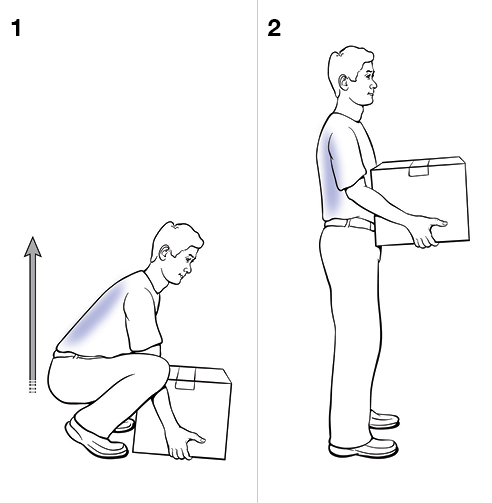 2 steps in safe lifting.